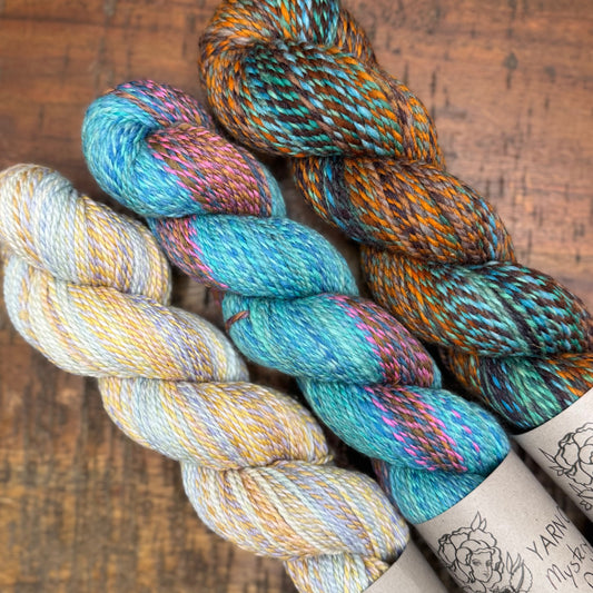 3 SKEIN OOAK HOMESTEAD SPORT BUNDLE #18