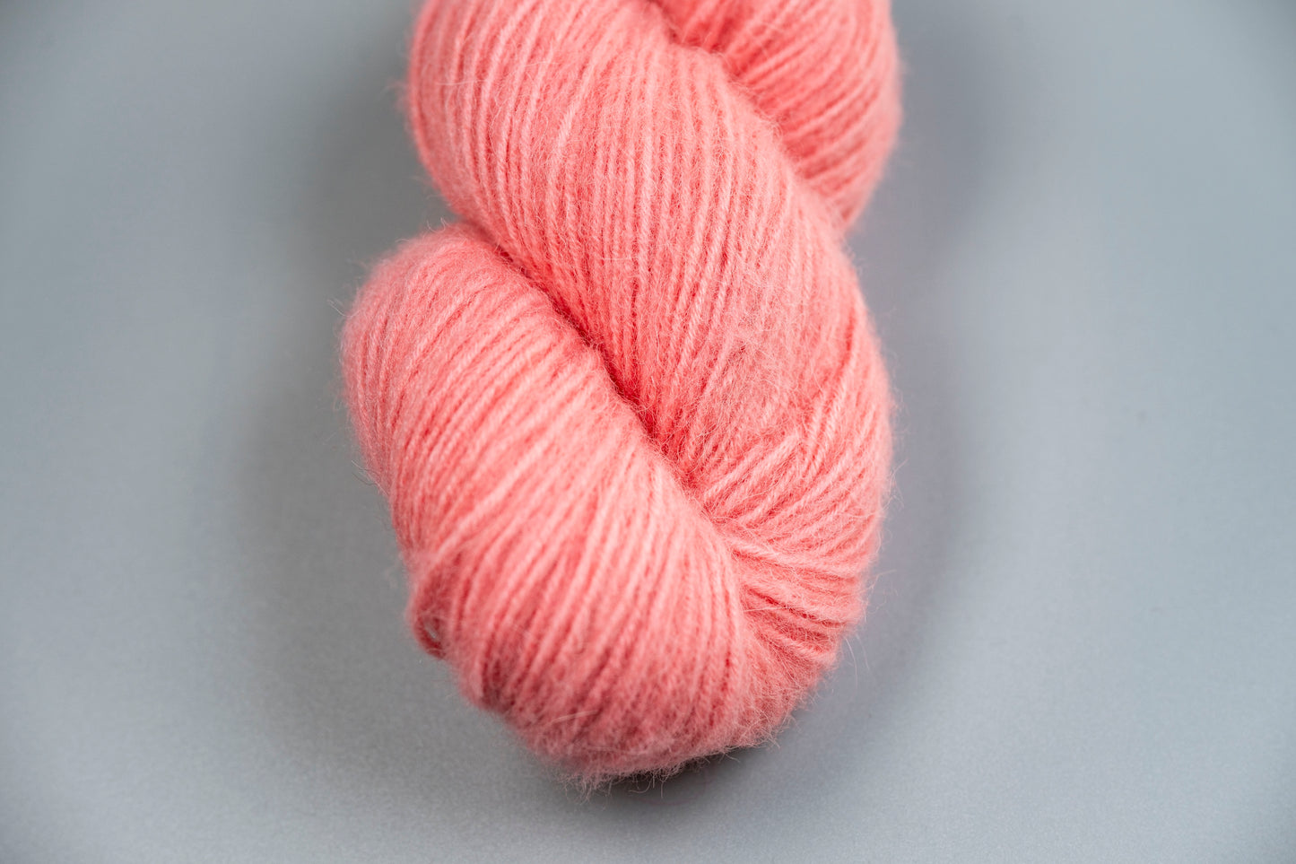 Penelope - Cria DK