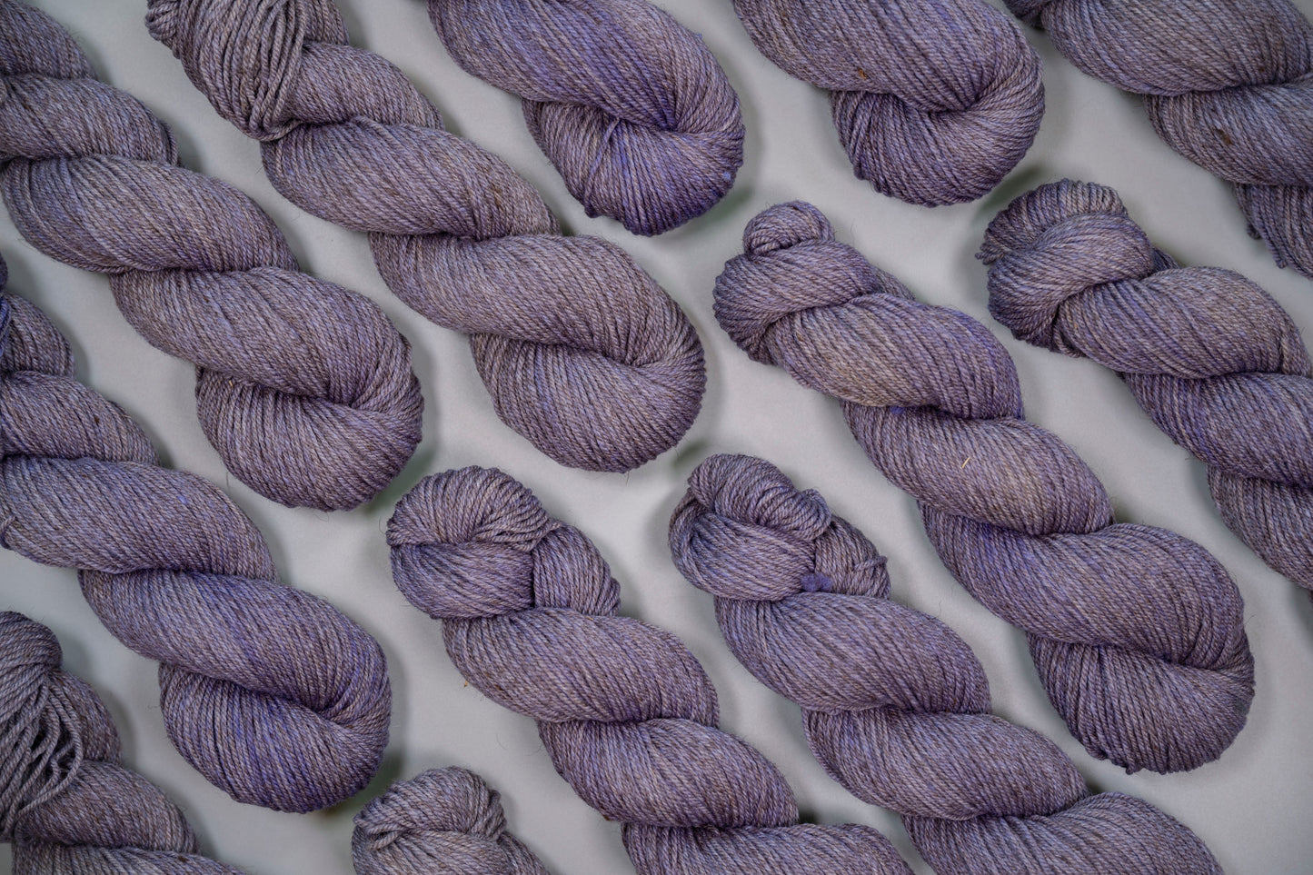 *NEW COLOR*- ROAN DK "Philosophy"
