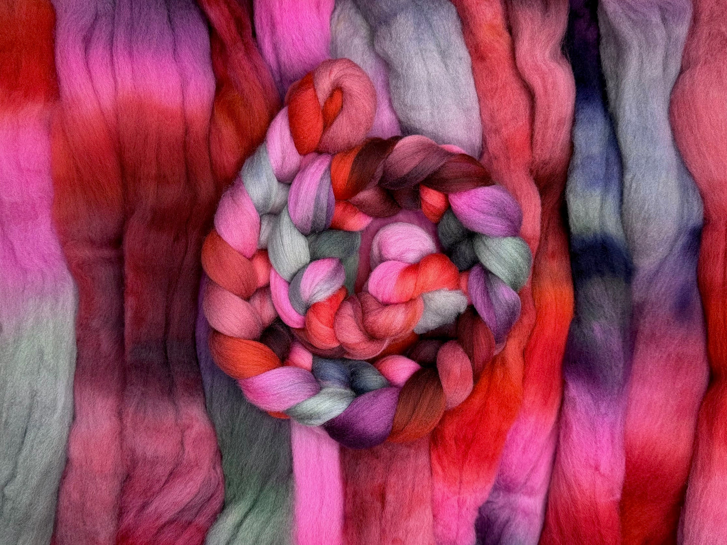 'Andromeda' - Polwarth