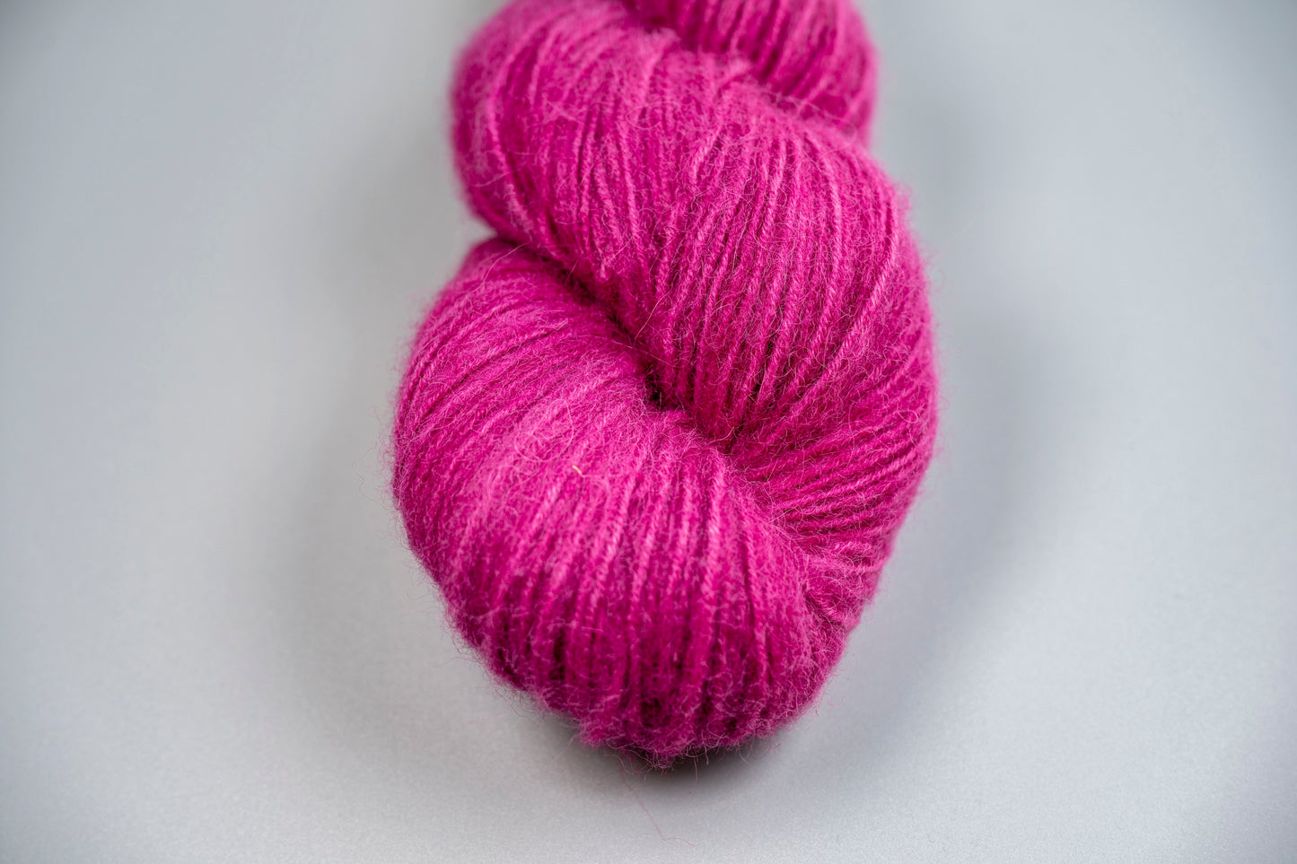 Calypso - Cria DK