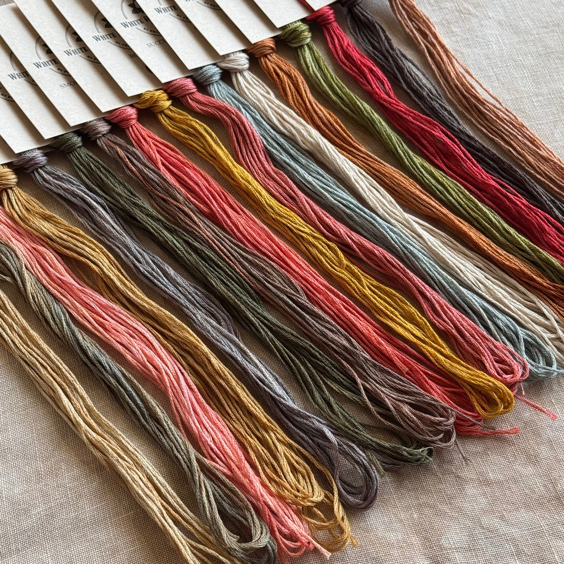 Fina And Rosed Thread