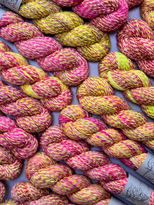 Watermelon Sugar- *NEW COLORWAY* Homestead Worsted