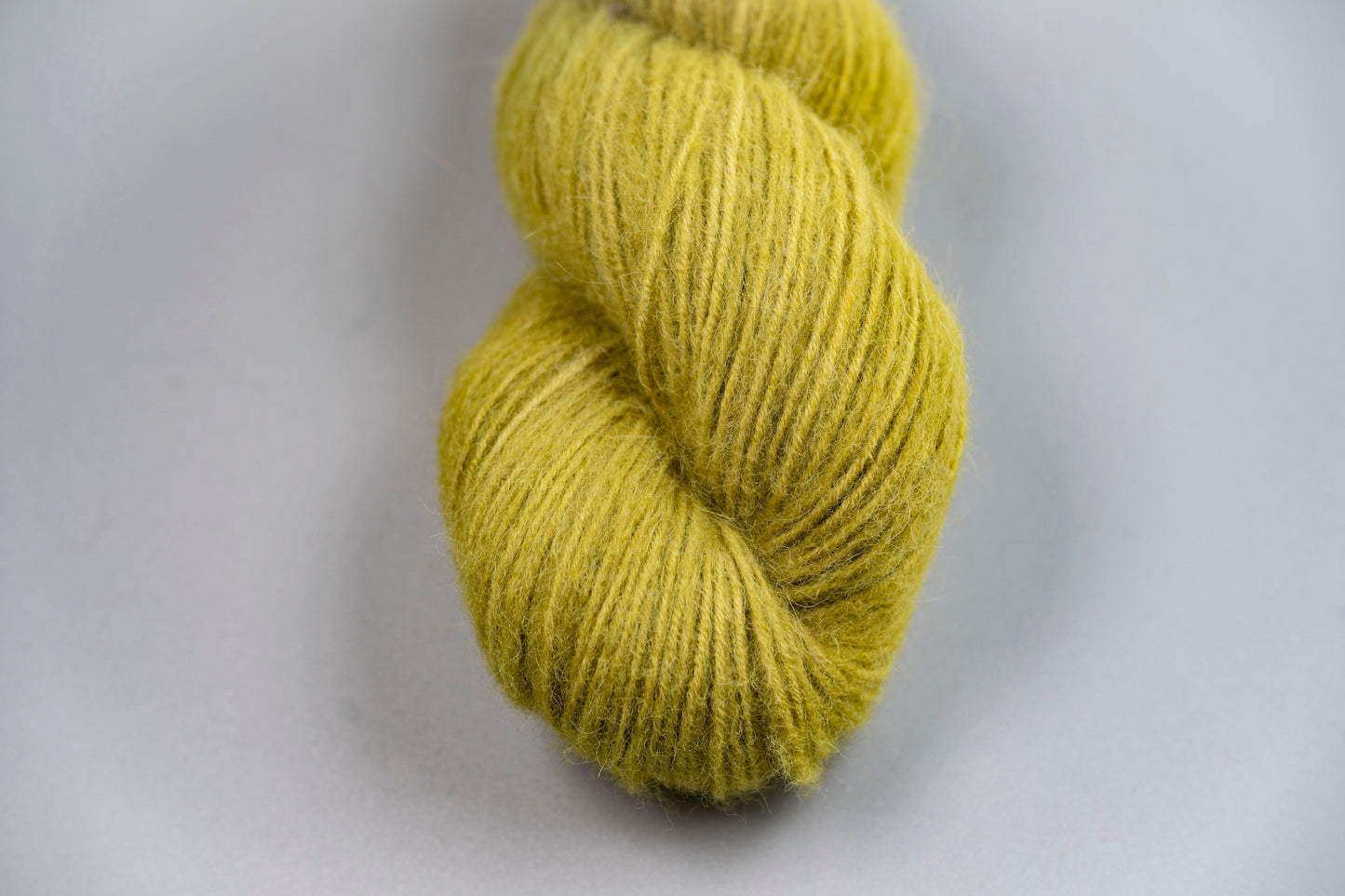 Maple Leaf - Cria DK