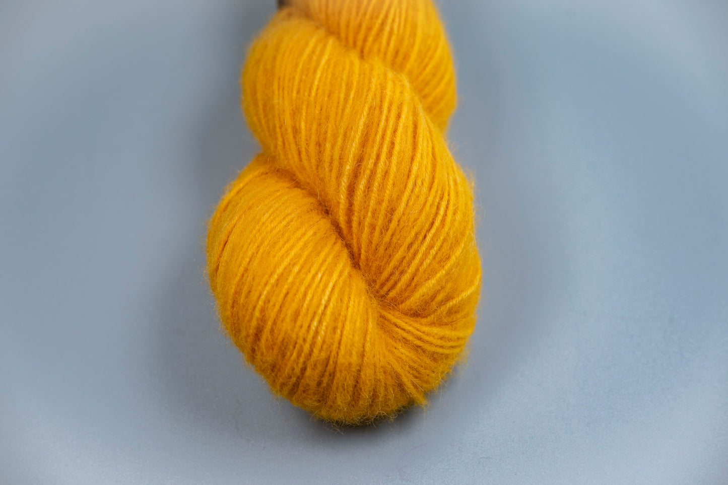 Narcissus  - Cria DK