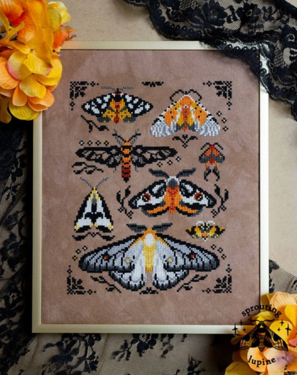 "Ochre Wings"- Sprouting Lupine