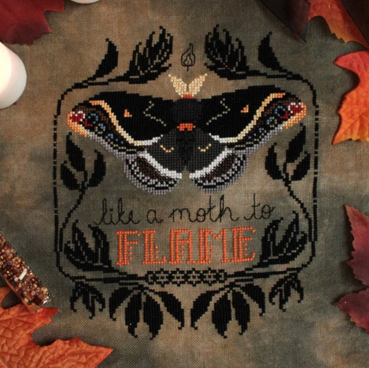"Like A Moth to Flame"- Sprouting Lupine