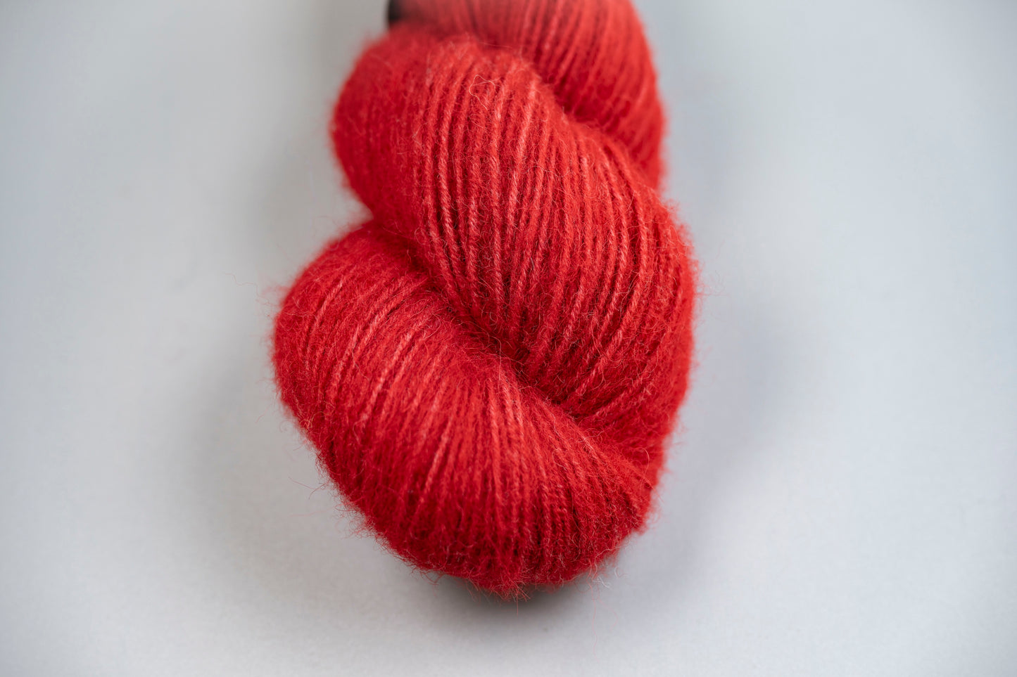 Velvet Queen  - Cria DK