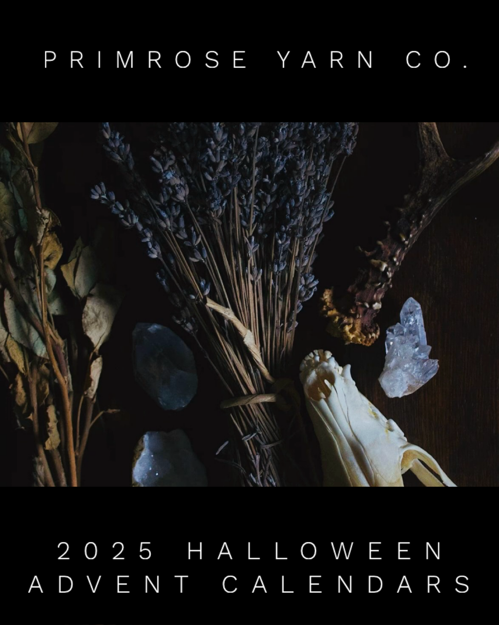 HALLOWEEN ADVENTS 2025