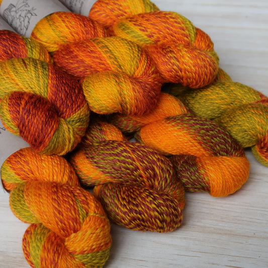Sugar Maple- Homestead Sport (WHOLESALE)